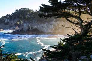 Point Lobos Morning-0061-2.jpg